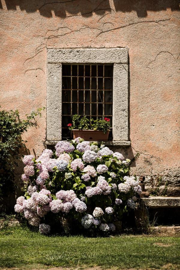 Agriturismo Casteddu Padru Zewnętrze zdjęcie