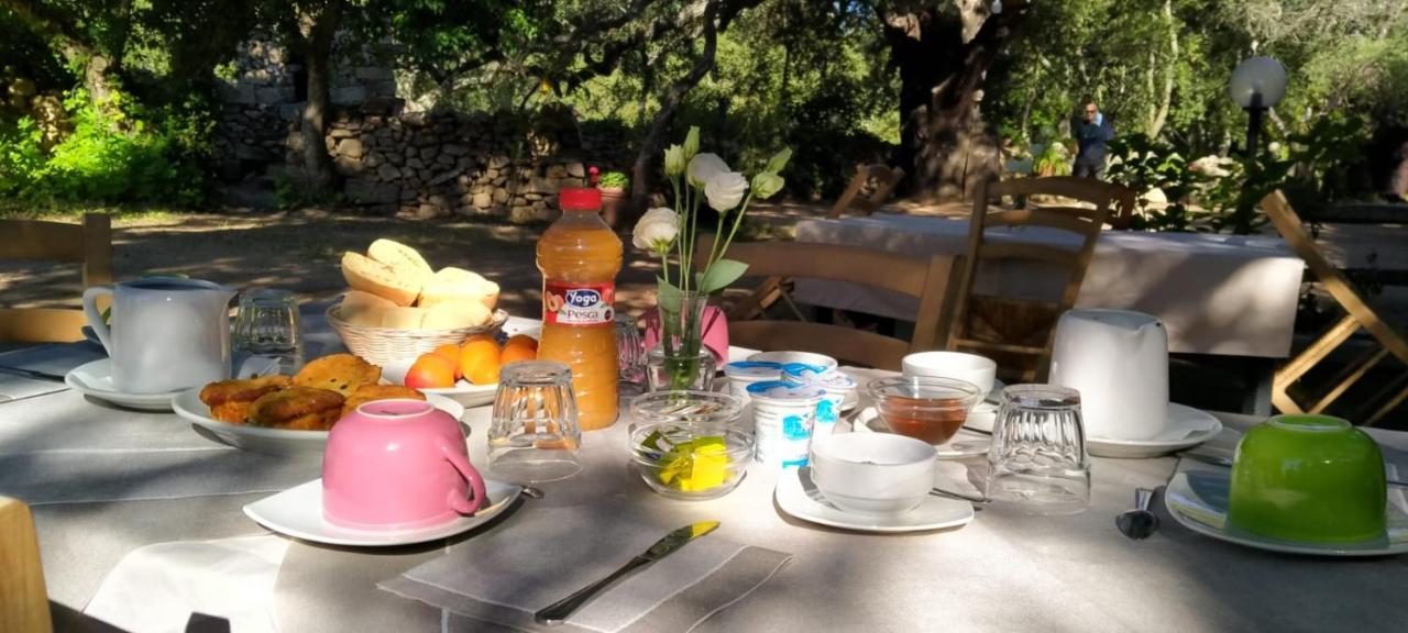 Agriturismo Casteddu Padru Zewnętrze zdjęcie