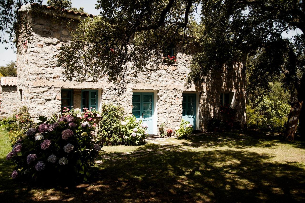 Agriturismo Casteddu Padru Zewnętrze zdjęcie