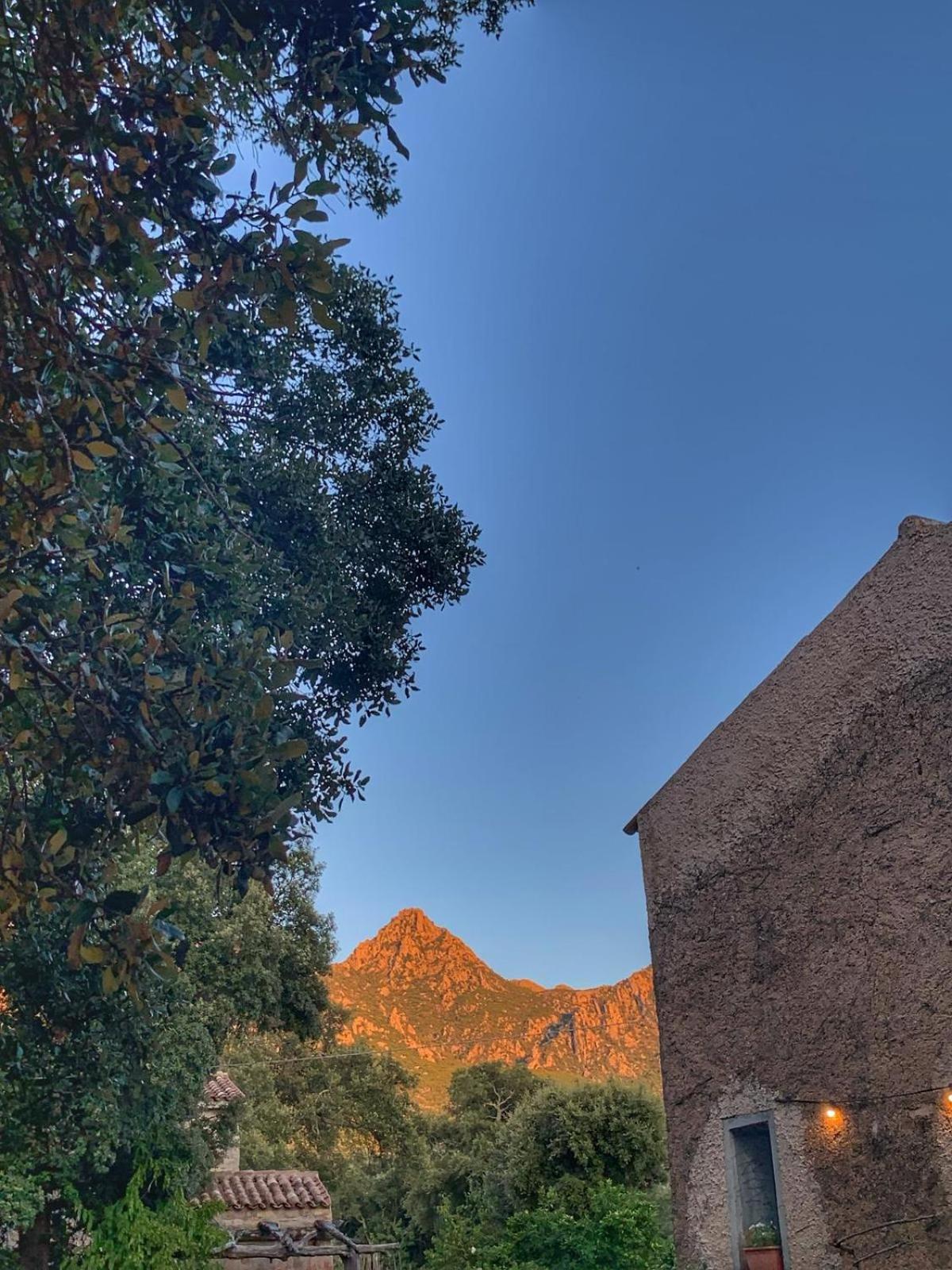 Agriturismo Casteddu Padru Zewnętrze zdjęcie
