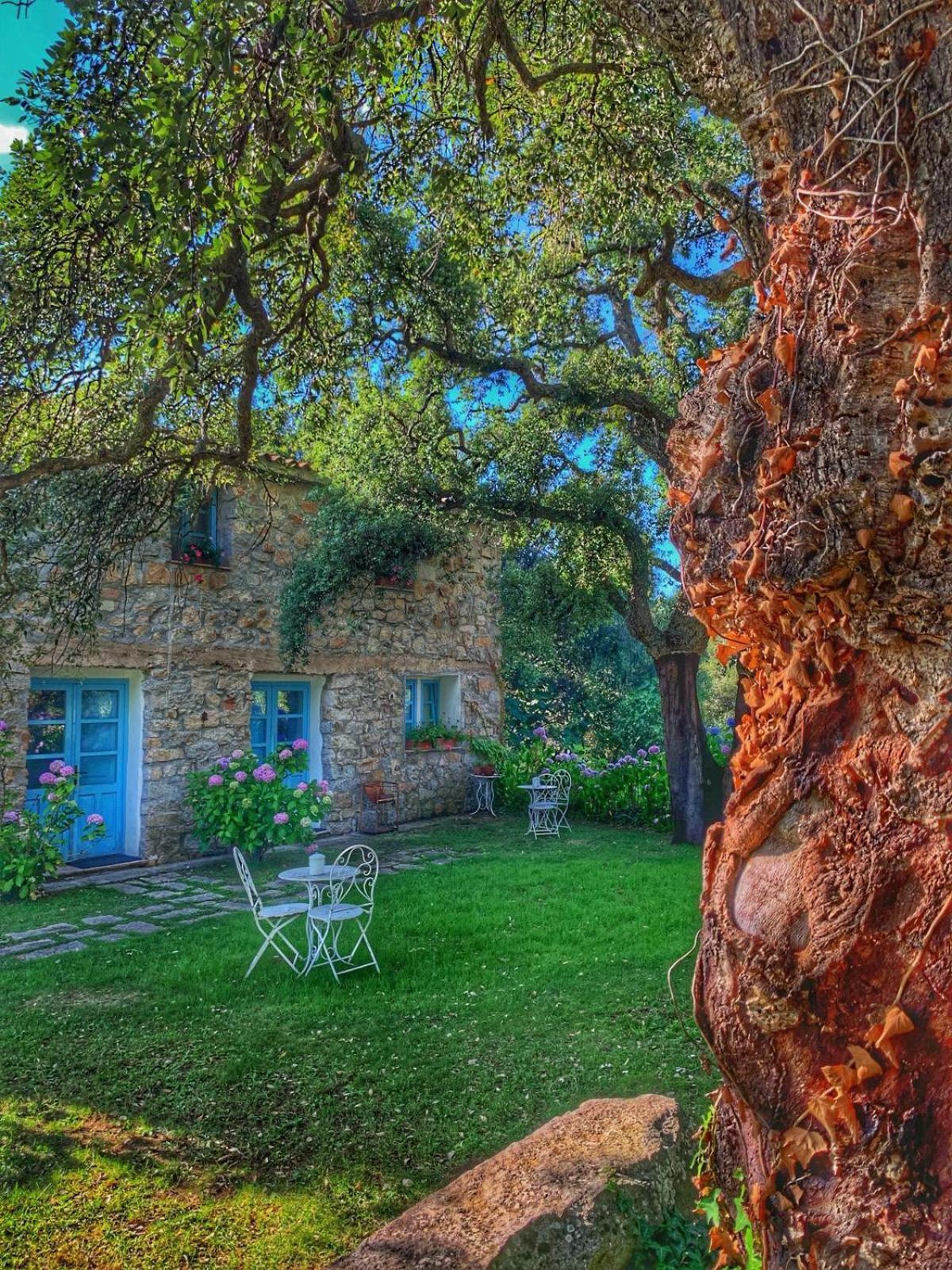 Agriturismo Casteddu Padru Zewnętrze zdjęcie